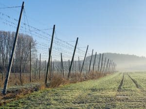 Hopfen Garten im Winter in der Hallertau - Nähe Pörnbach - hier wird ab Mai Hopfen für frischen Hopfenkranz wachsen